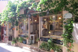 Corfu old town Greece shop plants