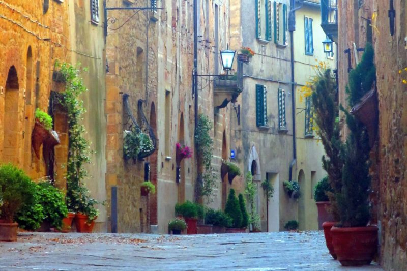 Pienza flowers