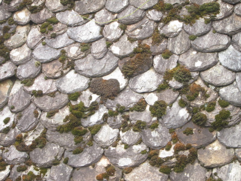 Conques, France - roof