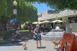 Putnam Plaza dogs